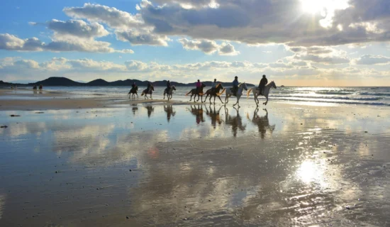 加拿大露营骑马俱乐部