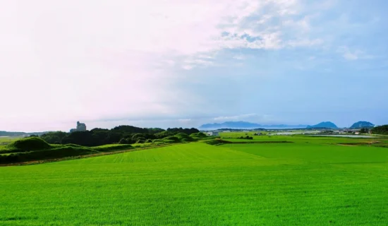 【世界遗产】新原·奴山古坟群