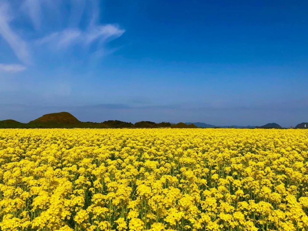 新原·奴山古坟群