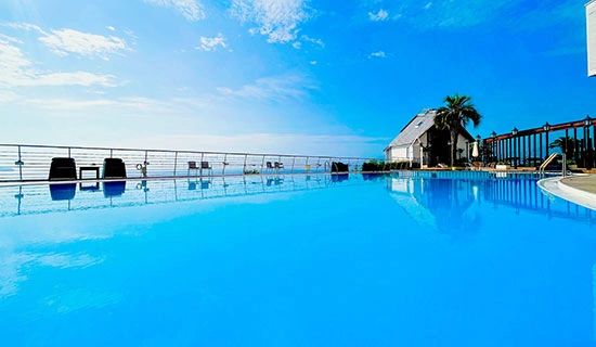 フレアカクテルショー